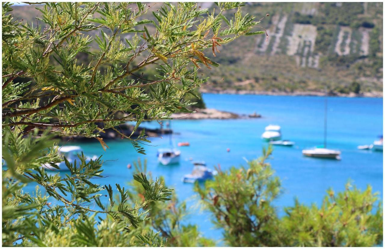 Apartments Elvis Primošten Εξωτερικό φωτογραφία