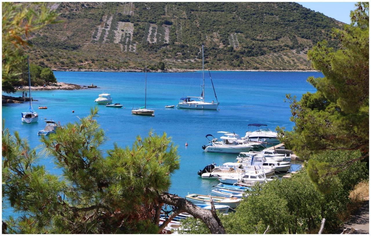 Apartments Elvis Primošten Εξωτερικό φωτογραφία