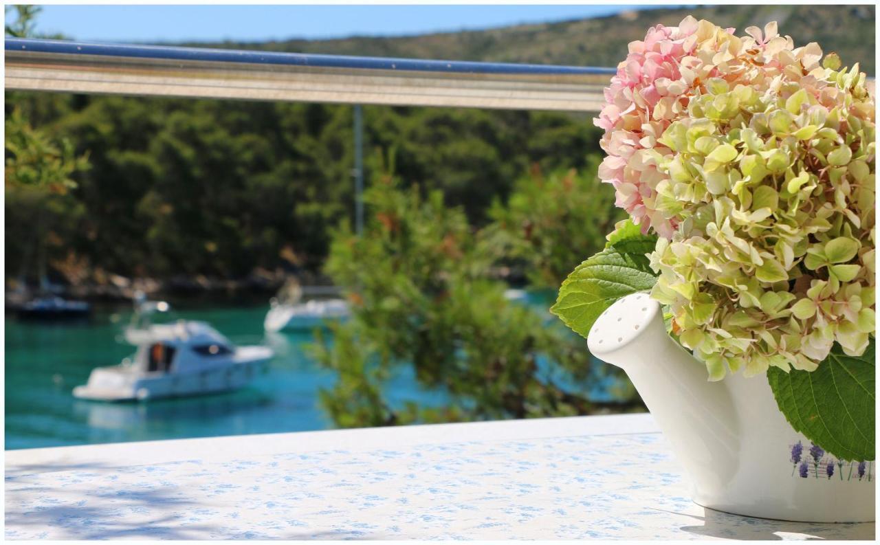 Apartments Elvis Primošten Εξωτερικό φωτογραφία